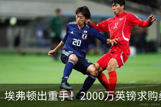 埃弗顿出重手！2000万英镑求购桑德兰后卫休姆